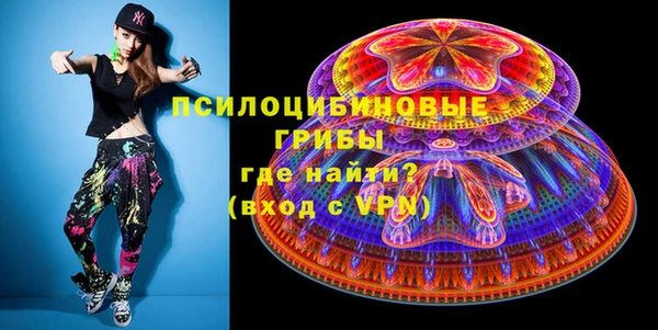 Альфа ПВП Пересвет