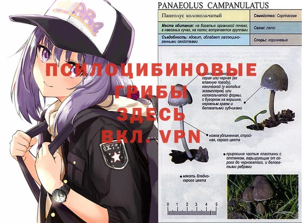 не бодяженный Армянск
