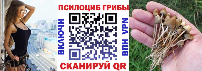 Псилоцибиновые грибы GOLDEN TEACHER Тутаев